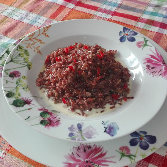 Riso rosso Solitario con gamberi, zucchine e crema di taleggio